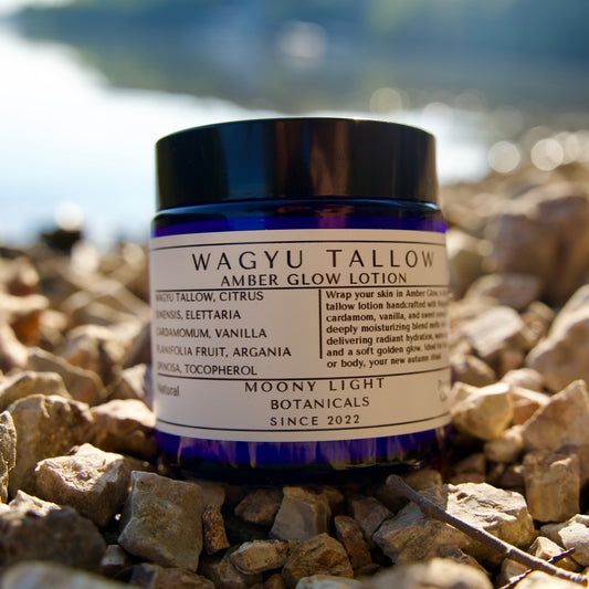 Amber Glow- Whipped Wagyu Tallow Lotion- 4 oz