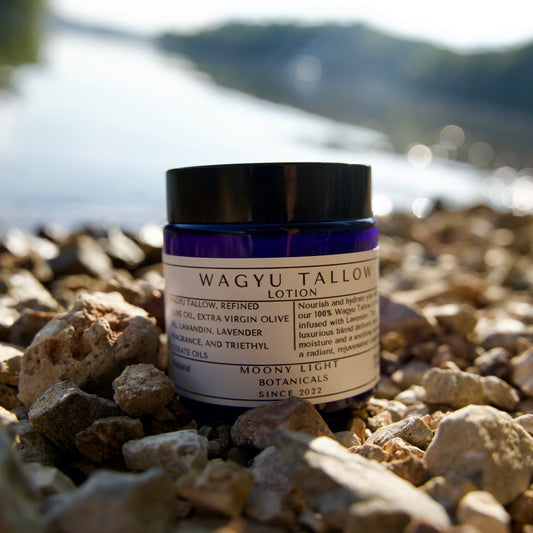 Lavender-Whipped Wagyu Tallow Lotion- 4 oz